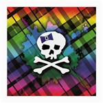 Rainbow Plaid Skull Medium Glasses Cloth