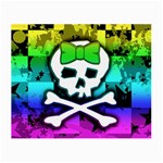 Rainbow Skull Small Glasses Cloth