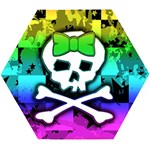 Rainbow Skull Wooden Puzzle Hexagon