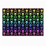 Rainbow Skull and Crossbones  Postcard 5  x 7 