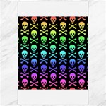 Rainbow Skull and Crossbones  Canvas 20  x 30 