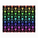 Rainbow Skull and Crossbones  Small Glasses Cloth (2 Sides)
