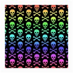 Rainbow Skull and Crossbones  Medium Glasses Cloth