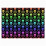 Rainbow Skull and Crossbones  Large Glasses Cloth
