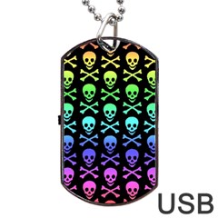 Rainbow Skull and Crossbones  Dog Tag USB Flash (Two Sides) from ArtsNow.com Back
