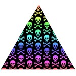 Rainbow Skull and Crossbones  Wooden Puzzle Triangle