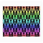 Rainbow Skull Checkerboard Small Glasses Cloth