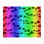 Rainbow Skull Collection Small Glasses Cloth