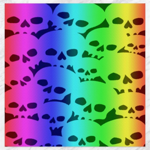 Rainbow Skull Collection Canvas 20  x 20  from ArtsNow.com 19 x19.27  Canvas - 1