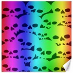 Rainbow Skull Collection Canvas 20  x 20 