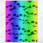 Rainbow Skull Collection Canvas 18  x 24 