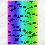 Rainbow Skull Collection Canvas 20  x 30 