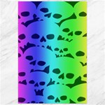 Rainbow Skull Collection Canvas 24  x 36 