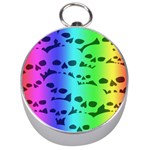 Rainbow Skull Collection Silver Compass