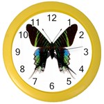Butterfly M6 Color Wall Clock