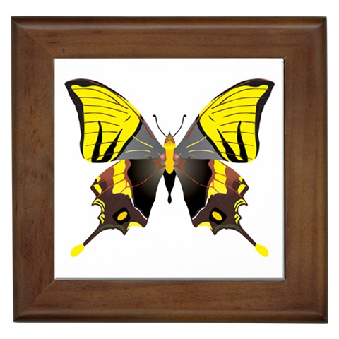 Butterfly M2 Framed Tile from ArtsNow.com Front