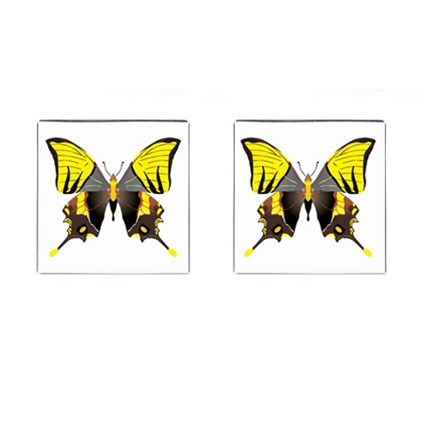 Butterfly M2 Cufflinks (Square) from ArtsNow.com Front(Pair)