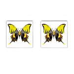 Butterfly M2 Cufflinks (Square)