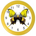 Butterfly M2 Color Wall Clock