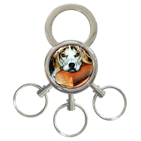 Lazy Lucy Beagle 3 Front