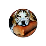 Lazy Lucy Beagle Rubber Round Coaster (4 pack)