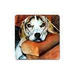 Lazy Lucy Beagle Magnet (Square)