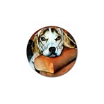 Lazy Lucy Beagle Golf Ball Marker (10 pack)