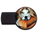 Lazy Lucy Beagle USB Flash Drive Round (2 GB)