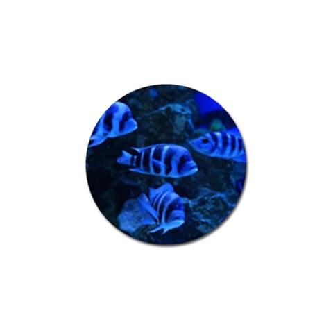 Zebra Cichlid Tropical Fish Golf Ball Marker (10 pack) from ArtsNow.com Front