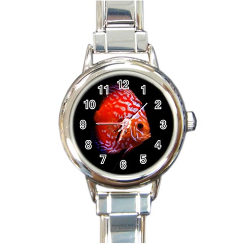 Tropical Discus Fish Round Italian Charm Watch from ArtsNow.com Front