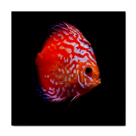 Tropical Discus Fish Tile Coaster from ArtsNow.com Front