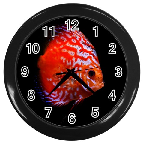 Tropical Discus Fish Wall Clock (Black) from ArtsNow.com Front