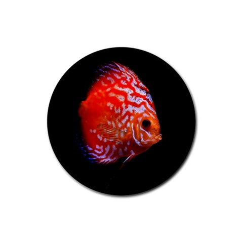 Tropical Discus Fish Rubber Round Coaster (4 pack) from ArtsNow.com Front
