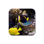 Marine Fish Aquarium Tropical M1 Rubber Square Coaster (4 pack)