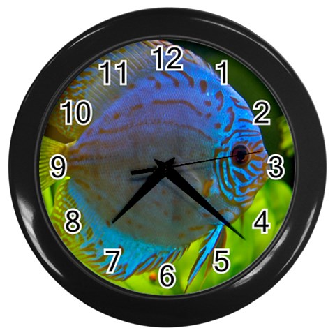 Blue Discus Tropical Fish Wall Clock (Black) from ArtsNow.com Front
