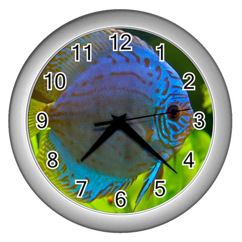 Blue Discus Tropical Fish Wall Clock (Silver) from ArtsNow.com Front