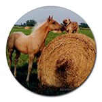Horse and Dog Meet & Greet Round Mousepad