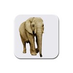 Elephant Animal M9 Rubber Square Coaster (4 pack)