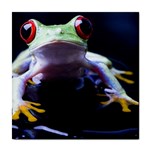 Frog M6 Tile Coaster
