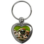 Tropical Frog Eye Key Chain (Heart)