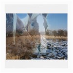 Horse Art: Winter Friends Glasses Cloth (Medium)