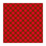 Holiday Medium Glasses Cloth