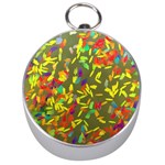 Colorful brush strokes painting on a green background                                                    Silver Compass