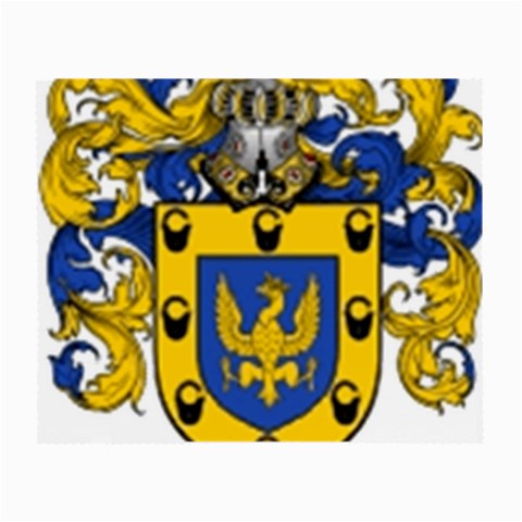 Soto Coat of Arm Small Glasses Cloth from ArtsNow.com Front