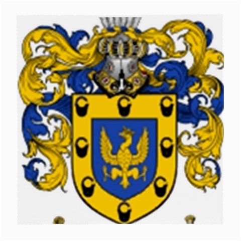 Soto Coat of Arm Medium Glasses Cloth (2 Sides) from ArtsNow.com Front