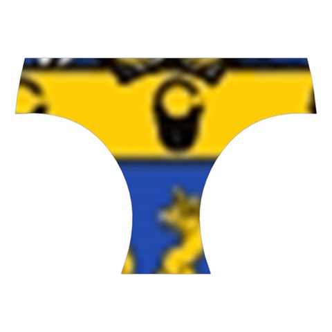 Soto Coat of Arm Halter Swimsuit from ArtsNow.com Front Bottom