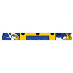 Soto Coat of Arm Boyleg Bikini Wrap Bottoms from ArtsNow.com Ribbon