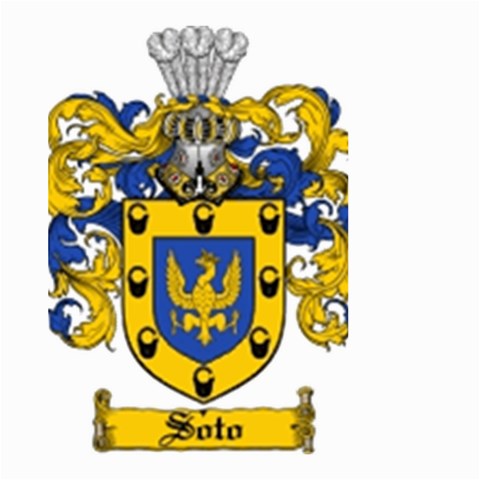 Soto Coat of Arm Large Garden Flag (Two Sides) from ArtsNow.com Front