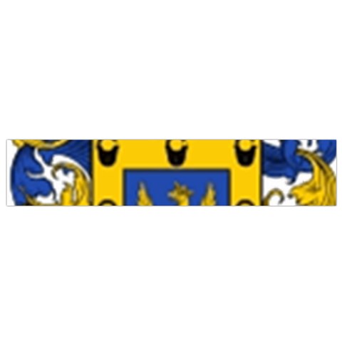 Soto Coat of Arm Small Flano Scarf from ArtsNow.com Front