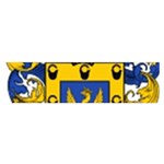 Soto Coat of Arm Satin Scarf (Oblong)
